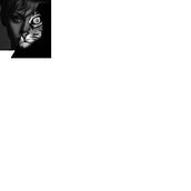 Ella era Hemingway. Un progetto di Collage di Maria - 06.02.2026