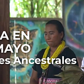 COCINA EN PUTUMAYO. Filmmaking project by Fabier R. Perez - 02.08.2026