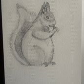 Little Squirrel. Traditional illustration project by starryglowart - 02.09.2026