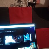 Proyecto final. Projekt z dziedziny  Reklama i Audio użytkownika salmatellezramirez - 10.02.2026