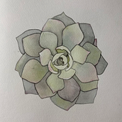 Cuaderno Botánico en Acuarela. Un proyecto de Ilustración tradicional, Pintura a la acuarela, Ilustración botánica y Sketchbook de Lidia López León - 10.02.2026