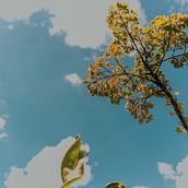 Proyecto Final (Flores y plantas de mi mamá). Color Theor, Digital Photograph, Lifest, le Photograph, Outdoor Photograph, Photographic Composition, Photographic Lighting, Photograph, Self-Portrait Photograph, and Studio Photograph project by jdisalvatorea - 02.11.2026