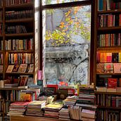 In English, Please. La primera librería experta en inglés.. Projekt z dziedziny Cop, writing, Projektowanie aplikacji, Projektowanie informacji i UX / UI użytkownika Ana Solà Guillén - 13.02.2026