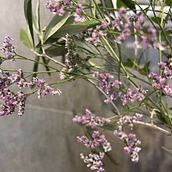 Floral Decoration: Spring Vibes X Domestika. Un proyecto de Decoración de interiores, Diseño floral, vegetal y Diseño de interiores de la33mail - 16.02.2026