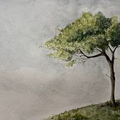 Akwarela techniką suchego pędzla . Projekt z dziedziny R, sunek botaniczn,  R, sunek,  Sztuki piękne, Ilustracja naturalist, czna,  Malarstwo i Malowanie akwarelą użytkownika Natalia Kołodziej - 17.02.2026