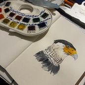 Caracara 1.. Realistic Drawing, Traditional illustration, Watercolor Painting, and Naturalistic Illustration project by José Vega Valencia - 02.19.2026