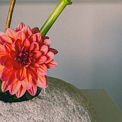 Less is more like Ikebana. Decoração de interiores, Design floral e vegetal, Interiores, e Design de interiores projeto de Serap Güneri - 19.02.2026