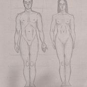 DIBUIX ARTÍSTIC: El cos humà i el cànon Ein Projekt aus dem Bereich Zeichnung, Bleistiftzeichnung und Artistische Zeichnung von anna herrerías soto - 20.02.2026