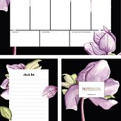 Papeterie florale. Projekt z dziedziny  Sztuki piękne,  R, sunek, Trad, c, jna ilustracja,  Malarstwo, Malowanie akwarelą, R i sunek botaniczn użytkownika Marie Gds - 20.02.2026