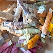 Bitácora de teñido . Pencelupan Tekstil proyek oleh Guadalupe Cadena - 02.21.2026