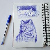 Dibujo gatitos. Een project van  Tekening,  Schetsen y Sketchbook van Sarah Rondón - 22.02.2026