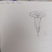 Mi diario ilustratado . Fine Arts, Sketching, Creativit, Drawing, Sketchbook, and Mindfulness project by Diana Parra - 02.25.2026