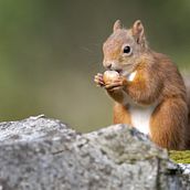 Tapiz. Artesanato projeto de Katherine Goez Lopez - 26.02.2026