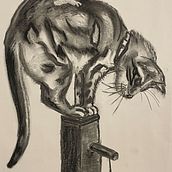 Charcoal Animals. Projekt z dziedziny Sztuki piękne, Rysunek, Rysunek atramentem i Ilustracja naturalistyczna użytkownika Charlotte Booth - 05.03.2026