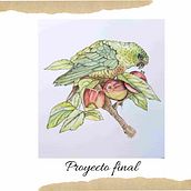 Cachaña sobre el manzano . Botanical Illustration, Digital Illustration, Traditional illustration, Ink Illustration, Naturalistic Illustration, Painting, and Watercolor Painting project by Ana Laura Moreno Díaz - 03.10.2026