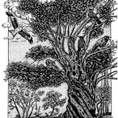 viel arbre à l'encre de chine. Ink Illustration, and Naturalistic Illustration project by p_m_guinchard - 03.14.2026