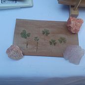 Postal Botánica . Colaj, Arte și meșteșuguri, Design de papetărie, Design floral și de plante și Fotografie de produs de Rafaela Sofía - 03.24.2026