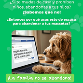 La familia no se abandona: campaña animalista. Cop, writing, Creativit, Marketing, Advertising, and Content Writing project by Sara Castaño Giraldo - 03.24.2026
