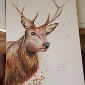 Exercises. Realistic Drawing, Traditional illustration, Naturalistic Illustration, and Watercolor Painting project by Kriséven Campana - 04.05.2026