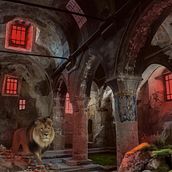 The Lion's Sanctuary. Un proyecto de Fotografía, Post-producción fotográfica		, Retoque fotográfico, Fotografía artística, Composición fotográfica, Fotomontaje y VFX de Stefan Kulinovic - 05.04.2026