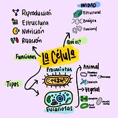 Infografía simple de concepto de célula . Comunicação, Consultoria criativa, Criatividade, Gestão de design, Desenho, Marketing, e Design de apresentação projeto de Cristina Jimenez - 07.04.2026