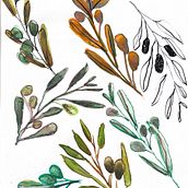 Ramas de olivo, sandías y calabazas.. Fine Arts, Design, Traditional illustration, Painting, Creativit, and Sketchbook project by sonia_ummyumna - 04.08.2026