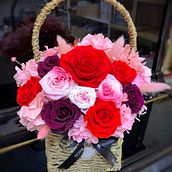 RED AND PINK . Dekorasi, Desain Interior, DIY, Arsitektur Lanskap, Desain Bunga, Dan Tanaman proyek oleh WONG SOK I - 04.11.2026