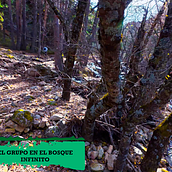 El Bosque Infinito (2026)-Guido Castro. Cinema, e Cinema, Vídeo e TV projeto de Guido Castro - 19.04.2026