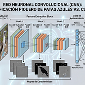 Clasificador Piquero de Patas Azules vs. Cuervo. Un proyecto de Desarrollo Web, Programación, Inteligencia Artificial e IA para programación de jviteri2004 - 20.04.2026