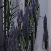 jardín de niños. Een project van Architectuur, L, scaping y Ruimtelijk ontwerp van Pedro Alberto Alejandre - 21.04.2026