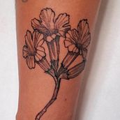 Ramita de Guayacan . Tattoo Design, Traditional illustration, and Botanical Illustration project by Vale Franco - 05.05.2026