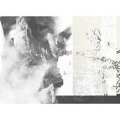 La Soledad y la Naturaleza. Pós-produção fotográfica, Fotografia, Fotografia artística, e Fotografia de interiores projeto de Izaro Miruri Zubizarreta - 07.05.2026