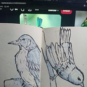 Bird. Un proyecto de Ilustración tradicional, Bocetado, Creatividad, Dibujo y Sketchbook de Eka Suci Puspitaningrum - 16.05.2026