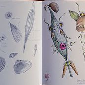 Concherba in viaggio verso non si sa dove. Un proyecto de Dibujo, Ilustración naturalista , Dibujo a lápiz, Sketchbook y Pintura a la acuarela de Claudia Foroni - 24.05.2026