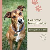 Estrategia Creativa: Perritos Rescatados . % Mica tarafından hazırlanan Reklamcılık, İçerik Pazarlaması, Yaratıcılık, Pazarlama, Hika, Ve e anlatımı projesi - 06.03.2026