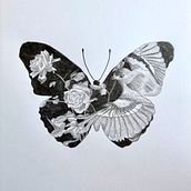 Wspomnienia letnich nocy. Een project van Artistieke tekening, Tekening, Naturalistische illustratie y Tekening met potlood van Wioleta Przybysz - 09.06.2026