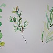 Biblioteca de elementos naturais. Traditional illustration, Watercolor Painting, and Naturalistic Illustration project by Cassandra Hágata Dantas - 06.29.2026