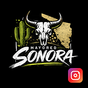 desarrollo de marca de instagram mayoreo sonora. Social Media, Digital Marketing, Mobile Marketing, Instagram, Communication, Instagram Marketing, and Brand Strategy project by Jesús ever Rosas ruiz - 06.30.2026