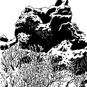Postcard 1000. Un proyecto de Ilustración tradicional y Dibujo de Shok Han Liu - 06.07.2026