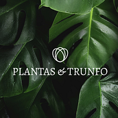 Plantas e Trunfo. Design, Br, ing, Identit, Graphic Design, and Logo Design project by beatriz4correia - 07.14.2026