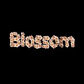 Blossom. Motion Graphics, Animação, Vídeo, Animação 2D e Ilustração digital projeto de Alona Sosiedko - 15.07.2026