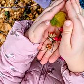 Nature Photography. Un proyecto de Fotografía, Fotografía artística y Fotografía para Instagram de Yannis Lobaina - 16.07.2026