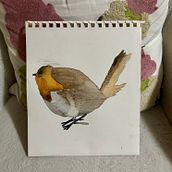 Ave Chucao . Ilustrație tradițională, Pictură în acuarelă, Desen realist & Ilustrație naturalistă de Catalina Belén Barrientos Cárdenas - 07.18.2026