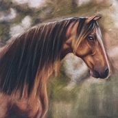 Retrato de un Caballo. Traditional illustration, Fine Arts, Drawing, Portrait Drawing, and Realistic Drawing project by Oscar Acevedo - 07.23.2026