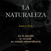 La Naturaleza - Luna y Aves. Branding e Identidade, Design gráfico, Web Design, e Design para redes sociais projeto de Abby Fdez - 25.07.2026