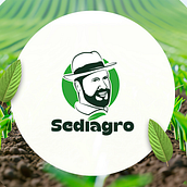 Diseño de slides para Powerpoint y Canva. Un progetto di Graphic design di hndzjoseph - 26.07.2026