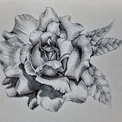Natura di grafite Ein Projekt aus dem Bereich Bildende Künste, Bleistiftzeichnung, Zeichnung, Realistische Zeichnung und Botanische Illustration von Claudia Foroni - 05.08.2026