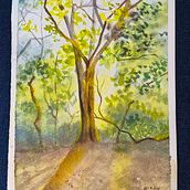 Sunlit forest. Painting, and Watercolor Painting project by Ananya Kushwaha - 08.09.2026