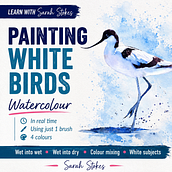 How to Paint a White Bird In Watercolour Without using White . Ilustrasi tradisional, Lukisan, Dan Lukisan Cat Air proyek oleh Sarah Stokes - 08.10.2026