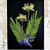 "In aeternum siccus" Ein Projekt aus dem Bereich Handwerk, Bildende Künste, Collage, DIY und Blumen- und Pflanzendesign von Teresa Giró Castellet - 13.08.2026